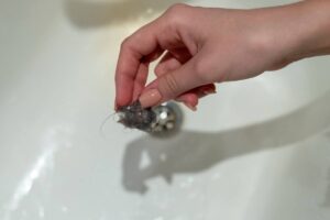A clump of hair pulled from a shower drain