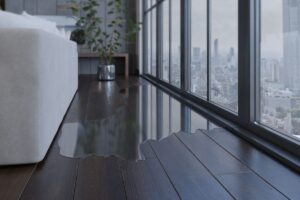 A pool of water on the wood floor of an apartment